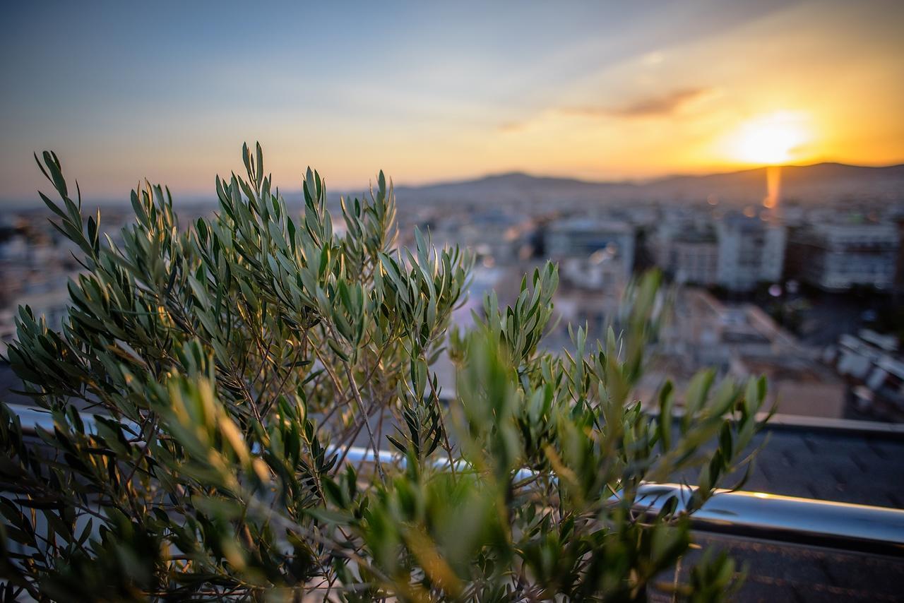 Radisson Blu Park Hotel Atene Esterno foto Olive trees in Athens